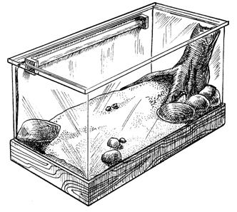 Самодельный террариум для сухопутной черепахи (инструкция с фото и чертежами)